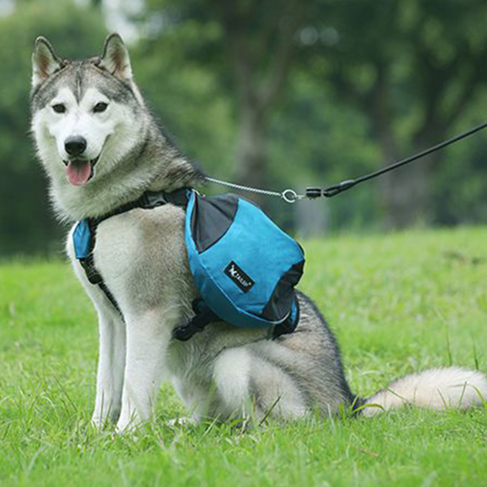 กระเป๋าเป้สะพายหลังสำหรับฝึกน้ - Crossfit Weight Vest บทวิจารณ์และราคา